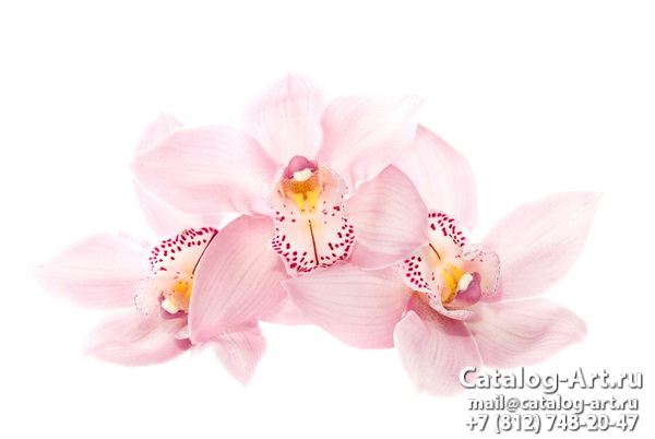 картинки для фотопечати на потолках, идеи, фото, образцы - Потолки с фотопечатью - Розовые орхидеи 55